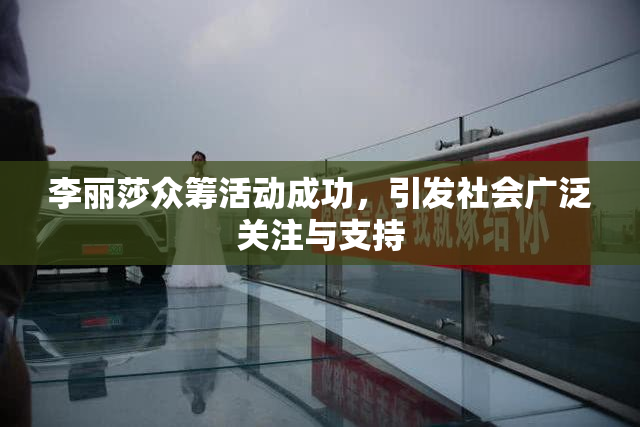李丽莎众筹活动成功，引发社会广泛关注与支持