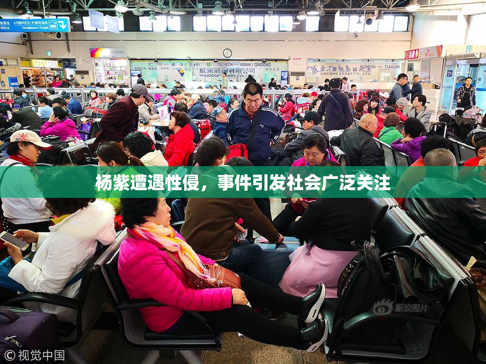 杨紫遭遇性侵，事件引发社会广泛关注