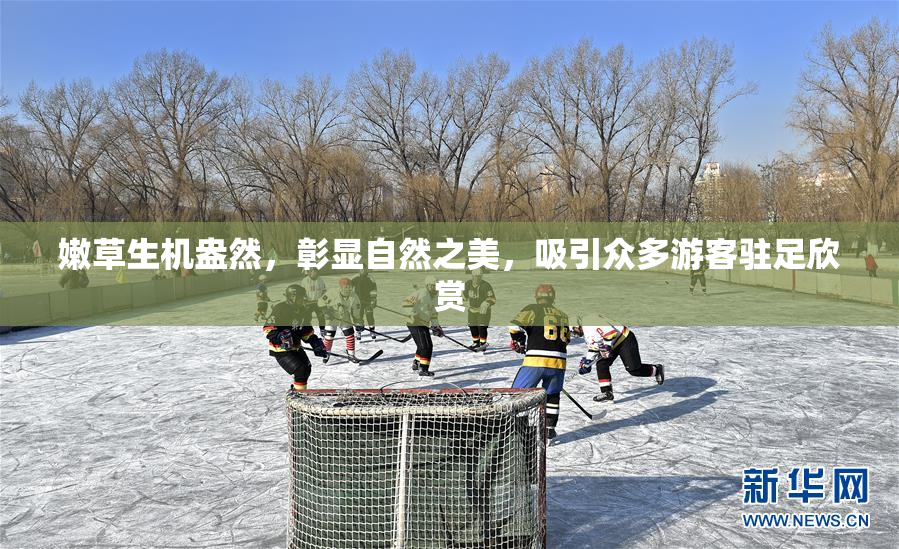 嫩草生机盎然，彰显自然之美，吸引众多游客驻足欣赏