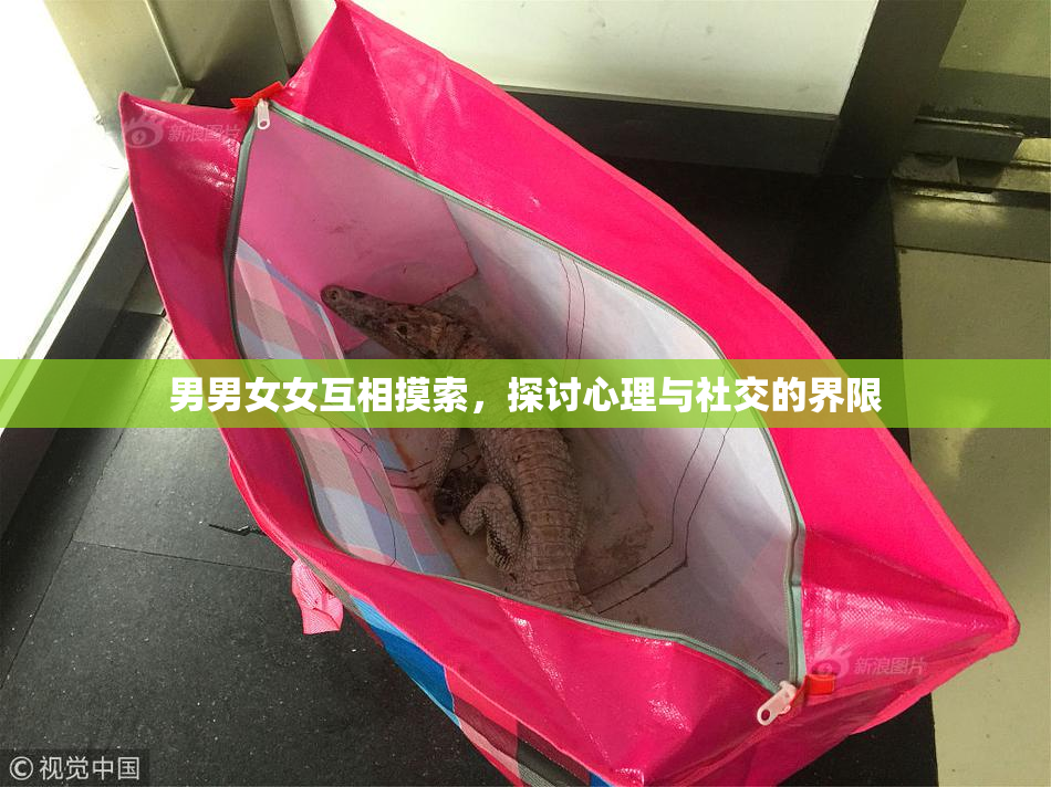 男男女女互相摸索，探讨心理与社交的界限