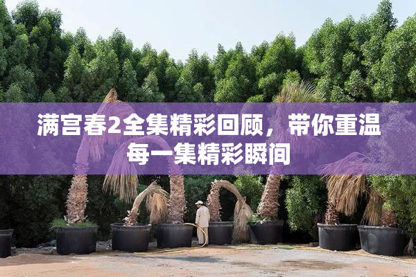 满宫春2全集精彩回顾，带你重温每一集精彩瞬间