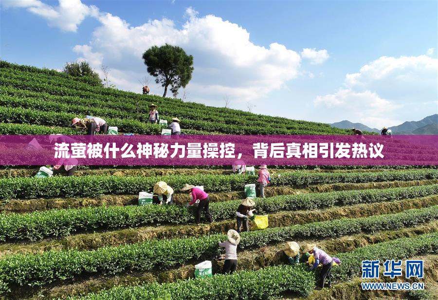 流萤被什么神秘力量操控，背后真相引发热议