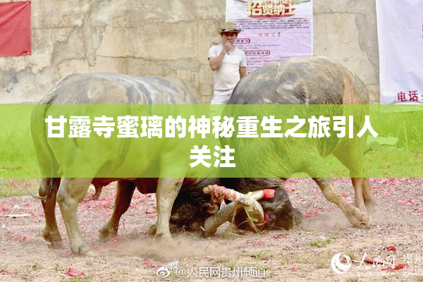甘露寺蜜璃的神秘重生之旅引人关注
