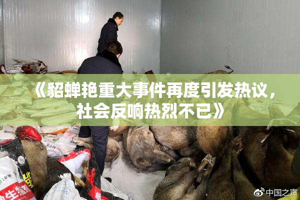 《貂蝉艳重大事件再度引发热议，社会反响热烈不已》