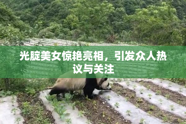 光腚美女惊艳亮相，引发众人热议与关注