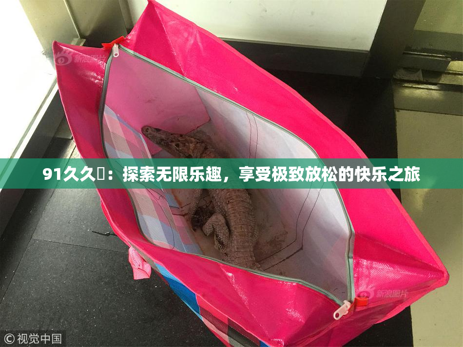 91久久擼：探索无限乐趣，享受极致放松的快乐之旅