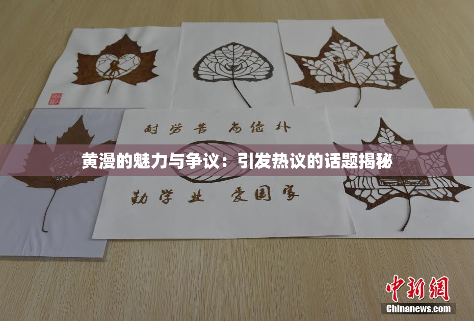 黄漫的魅力与争议：引发热议的话题揭秘