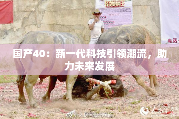 国产40：新一代科技引领潮流，助力未来发展