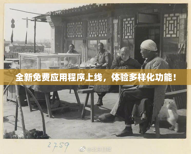 全新免费应用程序上线，体验多样化功能！