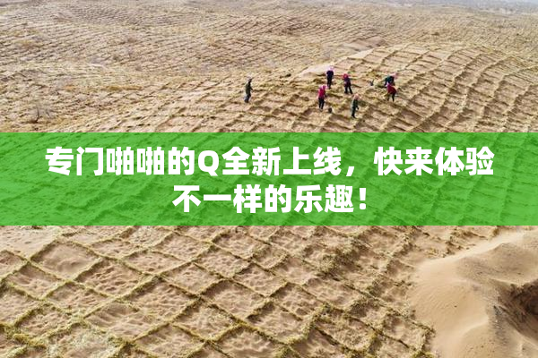 专门啪啪的Q全新上线，快来体验不一样的乐趣！