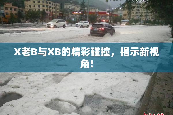 X老B与XB的精彩碰撞，揭示新视角!
