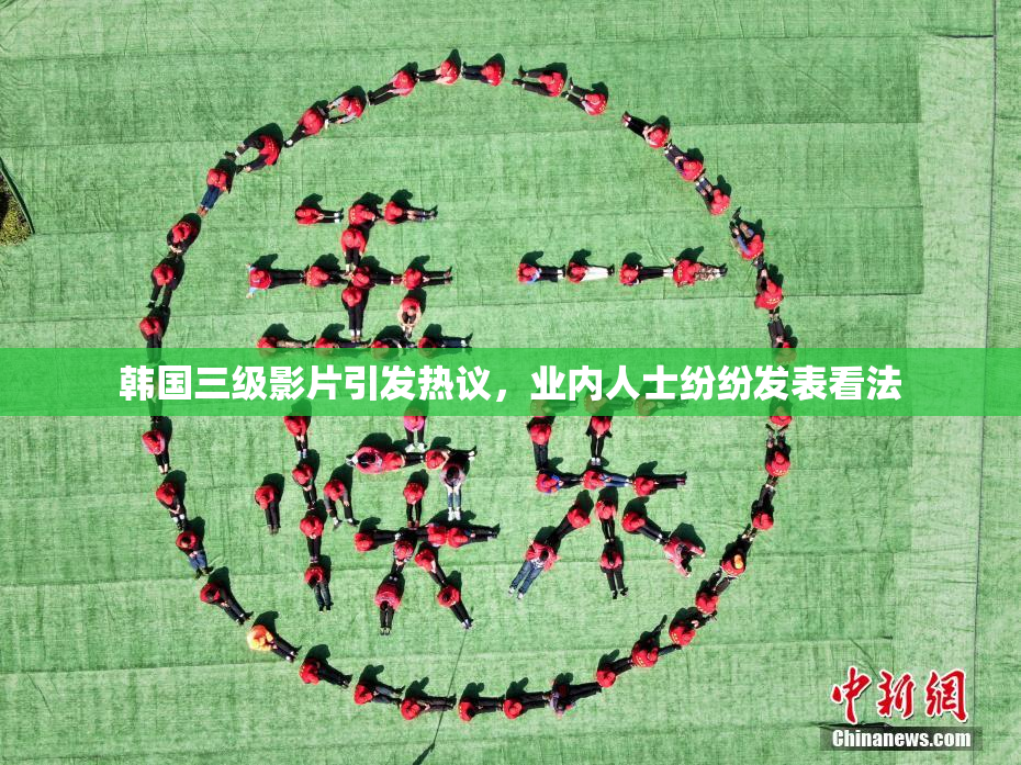 韩国三级影片引发热议，业内人士纷纷发表看法