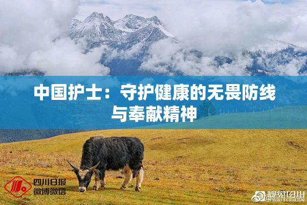 中国护士：守护健康的无畏防线与奉献精神