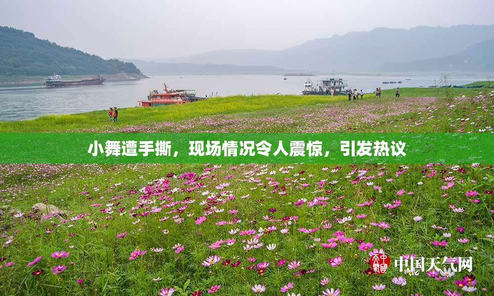 小舞遭手撕，现场情况令人震惊，引发热议