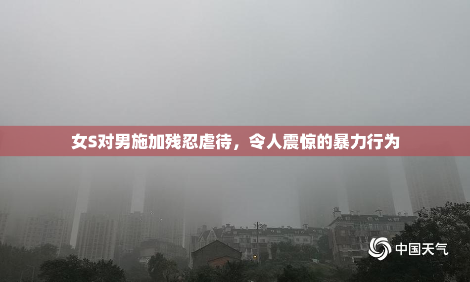女S对男施加残忍虐待，令人震惊的暴力行为