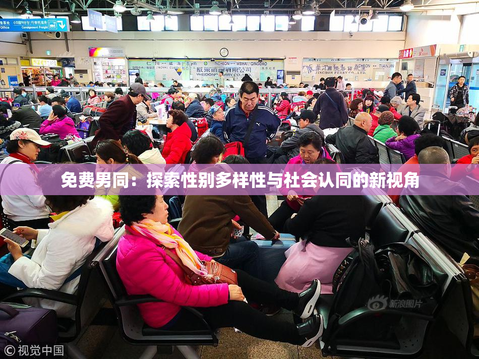 免费男同：探索性别多样性与社会认同的新视角
