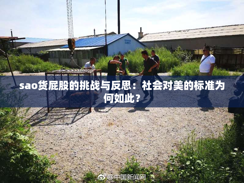 sao货屁股的挑战与反思：社会对美的标准为何如此？