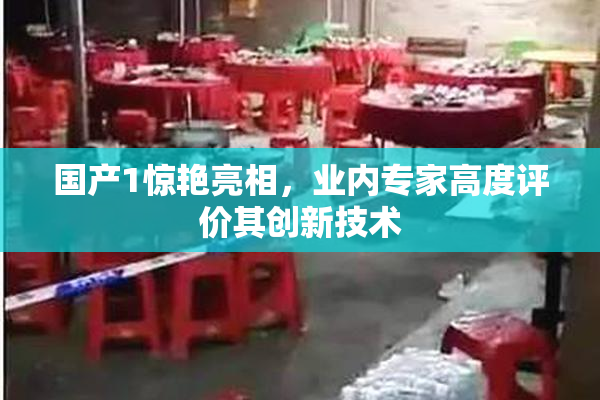 国产1惊艳亮相，业内专家高度评价其创新技术