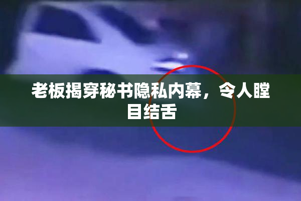 老板揭穿秘书隐私内幕，令人瞠目结舌