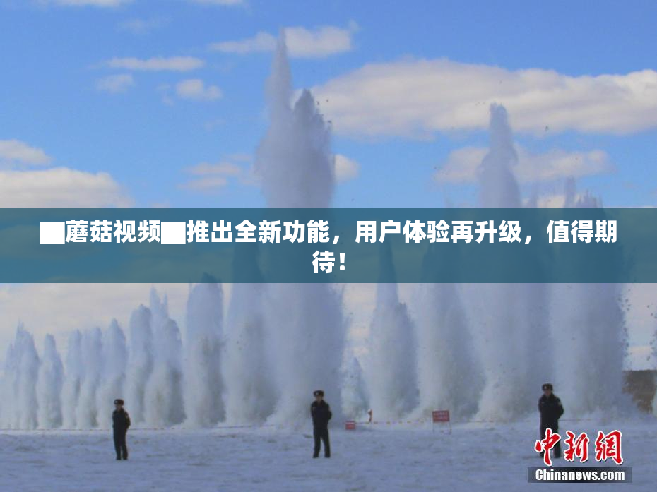▇蘑菇视频▇推出全新功能，用户体验再升级，值得期待！