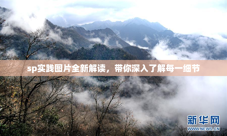 sp实践图片全新解读，带你深入了解每一细节