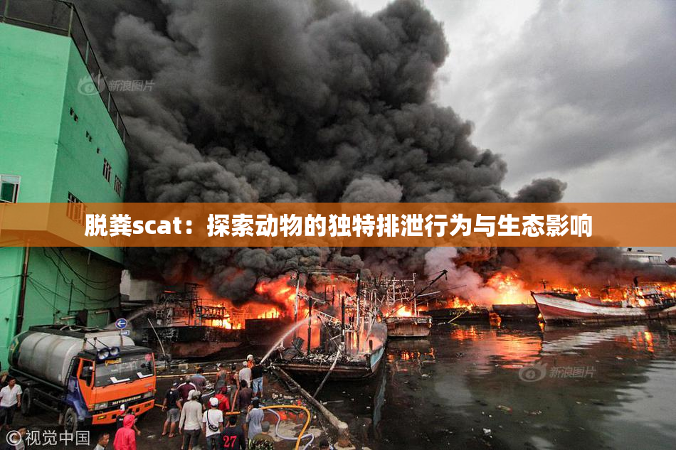 脱粪scat：探索动物的独特排泄行为与生态影响