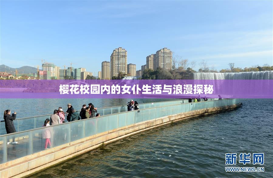 樱花校园内的女仆生活与浪漫探秘