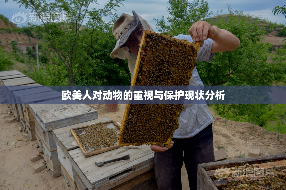 欧美人对动物的重视与保护现状分析