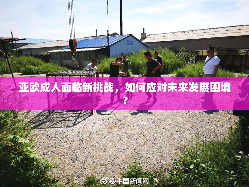 亚欧成人面临新挑战，如何应对未来发展困境？