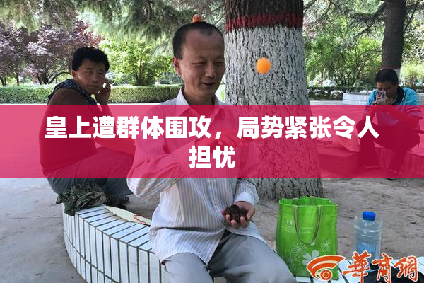 皇上遭群体围攻，局势紧张令人担忧