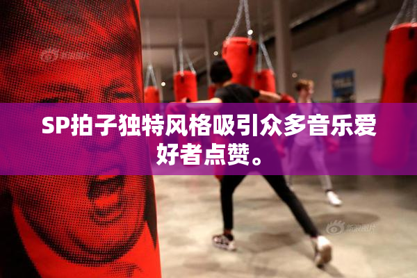 SP拍子独特风格吸引众多音乐爱好者点赞。