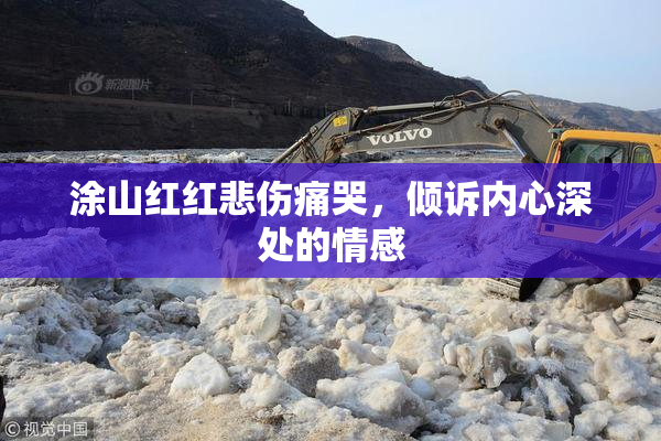 涂山红红悲伤痛哭，倾诉内心深处的情感
