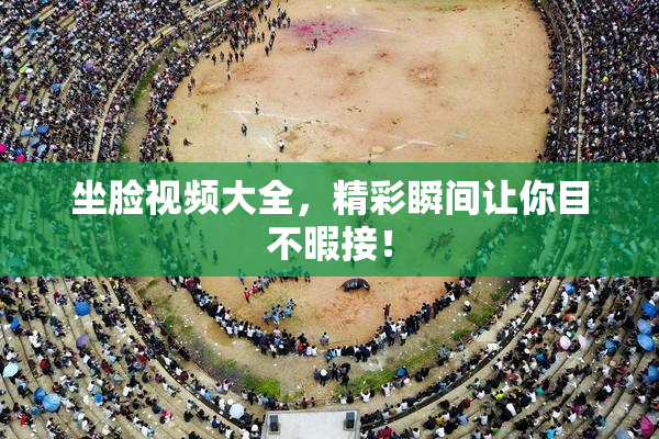 坐脸视频大全，精彩瞬间让你目不暇接！