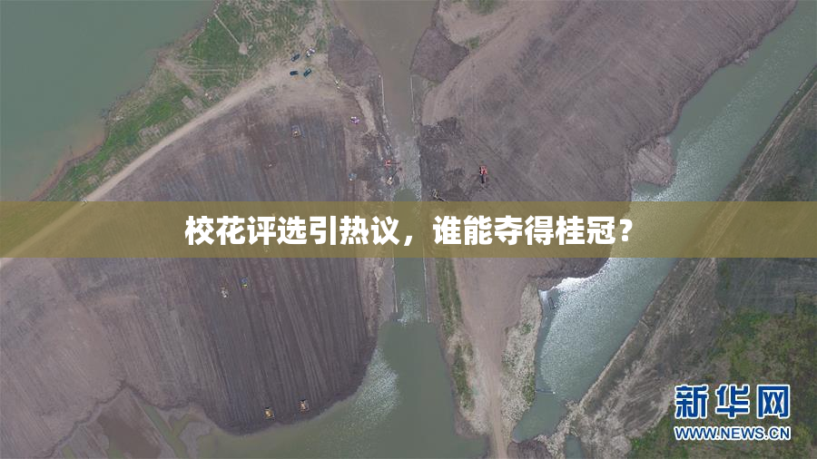 校花评选引热议，谁能夺得桂冠？