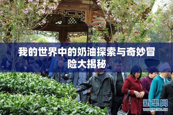 我的世界中的奶油探索与奇妙冒险大揭秘