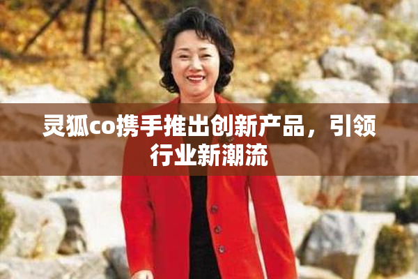 灵狐co携手推出创新产品，引领行业新潮流