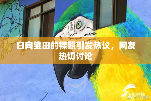 日向雏田的裸照引发热议，网友热切讨论