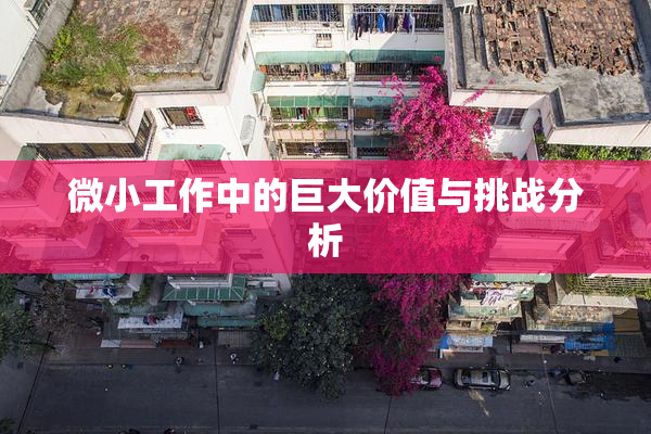 微小工作中的巨大价值与挑战分析