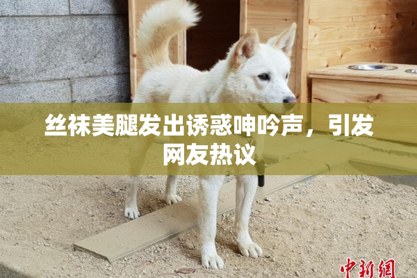 丝袜美腿发出诱惑呻吟声，引发网友热议