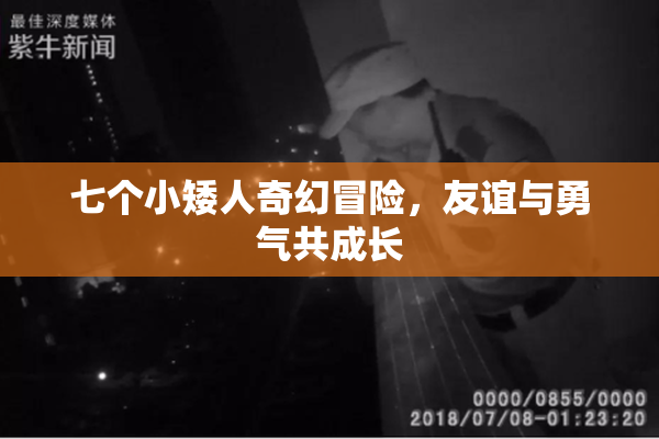 七个小矮人奇幻冒险，友谊与勇气共成长
