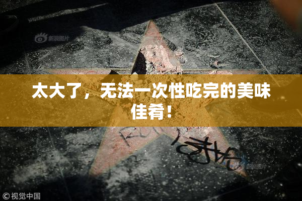太大了，无法一次性吃完的美味佳肴！
