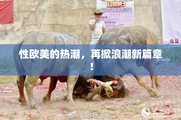 性欧美的热潮，再掀浪潮新篇章！