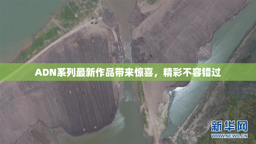 ADN系列最新作品带来惊喜，精彩不容错过