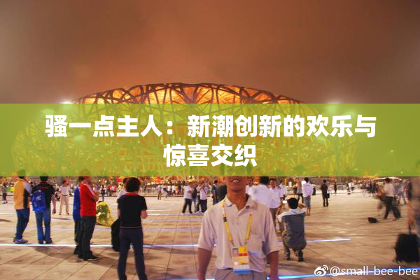 骚一点主人：新潮创新的欢乐与惊喜交织