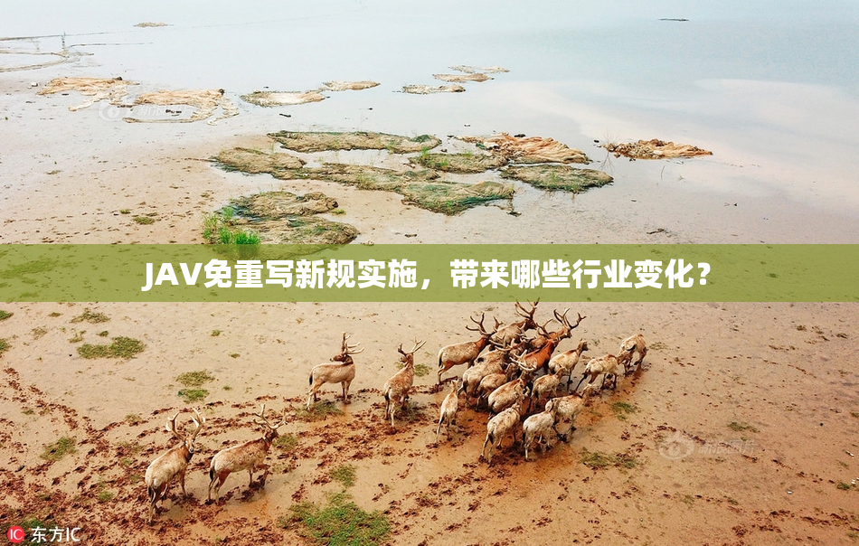 JAV免重写新规实施，带来哪些行业变化？