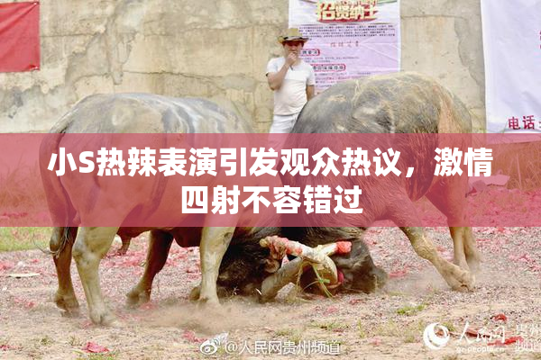 小S热辣表演引发观众热议，激情四射不容错过