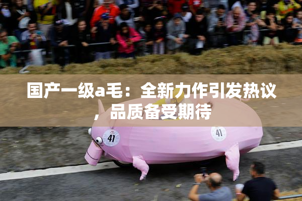 国产一级a毛：全新力作引发热议，品质备受期待