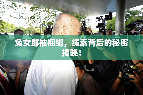 兔女郎被捆绑，绳索背后的秘密揭晓！