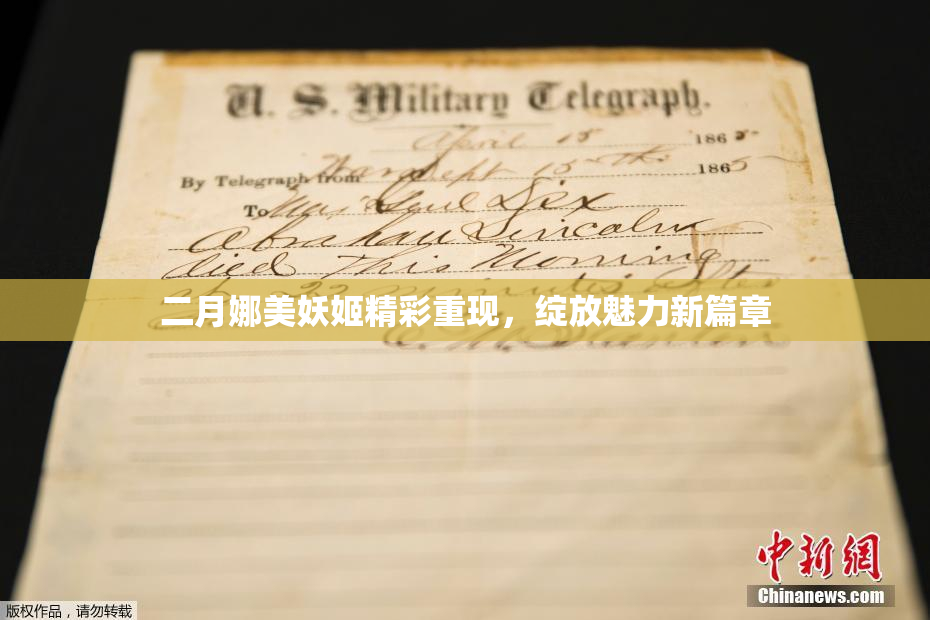 二月娜美妖姬精彩重现，绽放魅力新篇章