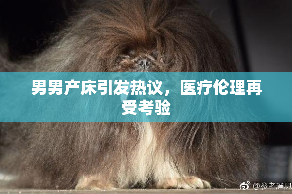 男男产床引发热议，医疗伦理再受考验